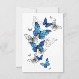 Blåflygande fjärilar Morpho OSA Kort