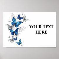 Blåflygande fjärilar Morpho