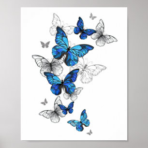 Blåflygande fjärilar Morpho Poster