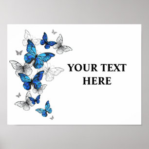 Blåflygande fjärilar Morpho Poster