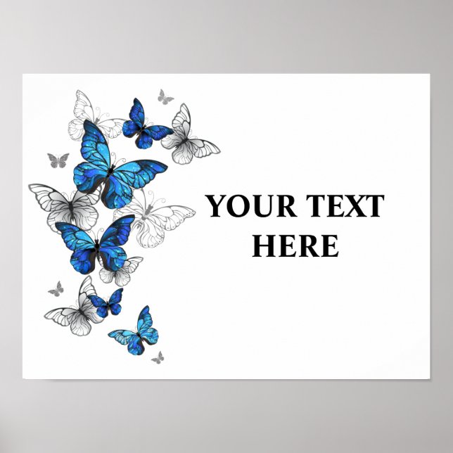 Blåflygande fjärilar Morpho Poster (Framsidan)