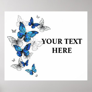 Blåflygande fjärilar Morpho Poster