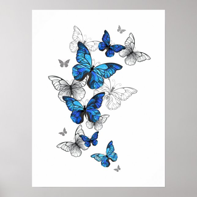Blåflygande fjärilar Morpho Poster (Framsidan)