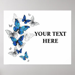 Blåflygande fjärilar Morpho Poster