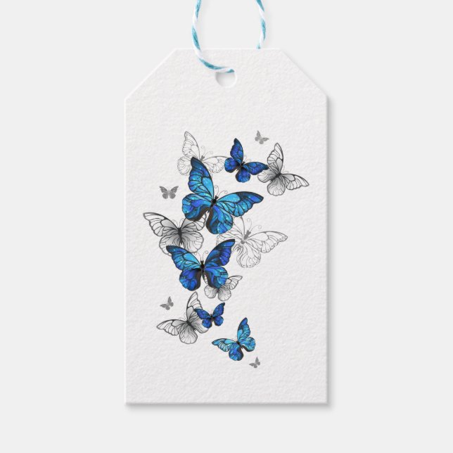 Blåflygande fjärilar Morpho Presentetikett (Framsidan)