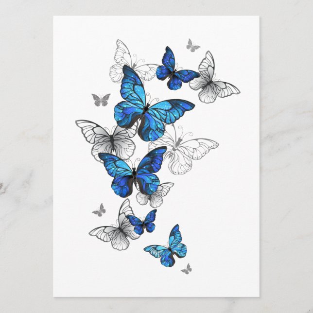 Blåflygande fjärilar Morpho Program (Framsida)