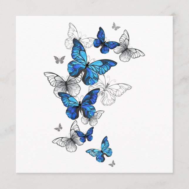 Blåflygande fjärilar Morpho Program (Framsida)