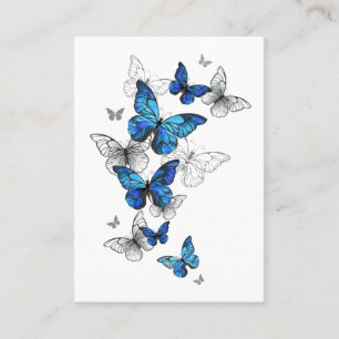 Blåflygande fjärilar Morpho Rabattkort