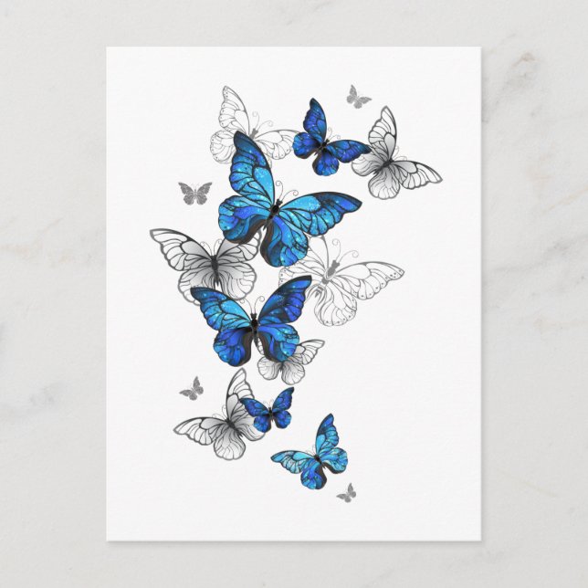Blåflygande fjärilar Morpho Rådkort (Framsida)
