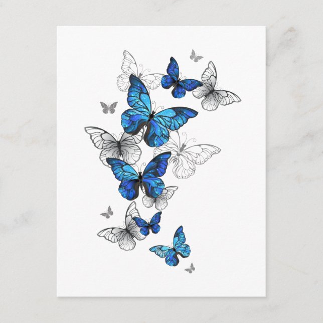 Blåflygande fjärilar Morpho Rådkort (Framsida)