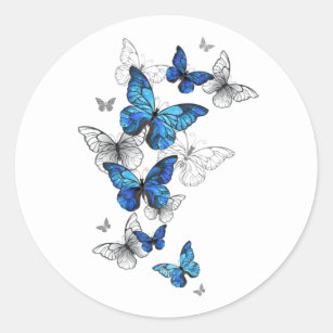 Blåflygande fjärilar Morpho Runt Klistermärke