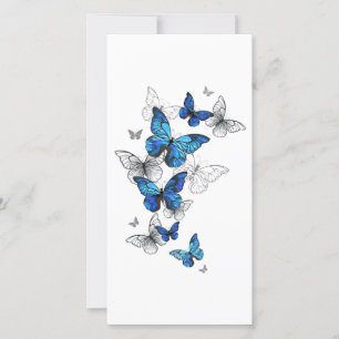 Blåflygande fjärilar Morpho Spara Datumet