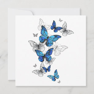 Blåflygande fjärilar Morpho Spara Datumet
