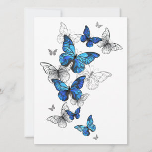 Blåflygande fjärilar Morpho Spara Datumet