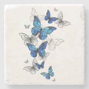 Blåflygande fjärilar Morpho Stenunderlägg