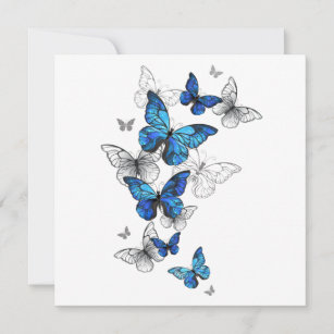 Blåflygande fjärilar Morpho Tack Kort