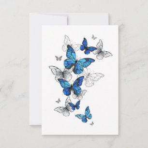 Blåflygande fjärilar Morpho Tack Kort