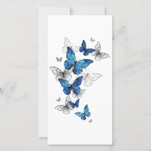 Blåflygande fjärilar Morpho Tack Kort