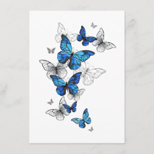 Blåflygande fjärilar Morpho Tilläggskort