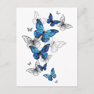 Blåflygande fjärilar Morpho Tilläggskort