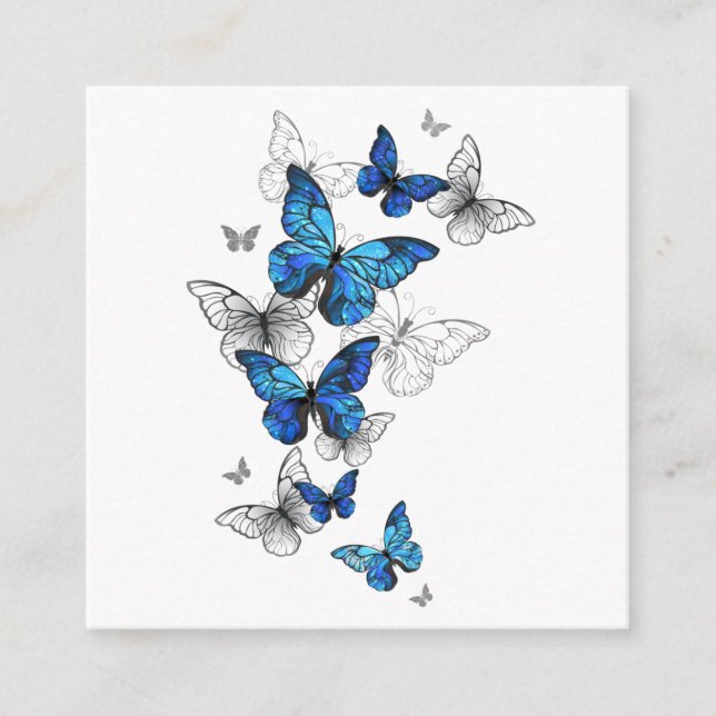Blåflygande fjärilar Morpho Tilläggskort (Framsida)