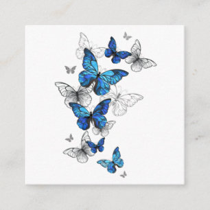 Blåflygande fjärilar Morpho Tilläggskort