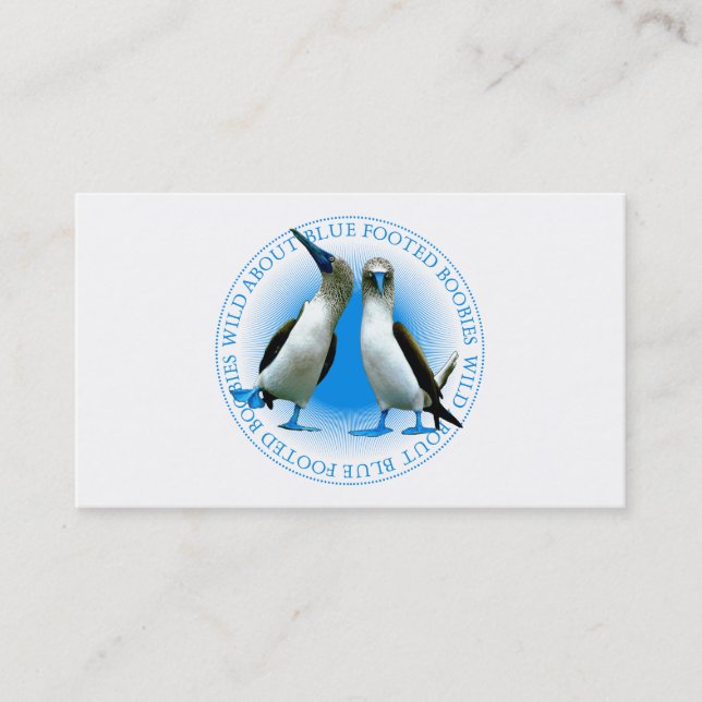 Blåfoten boobies - fångstguide visitkort (Framsida)