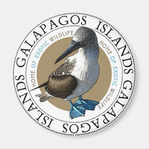 Blåfoten Booby-magnet Magnet