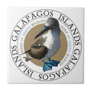 Blåfoten Booby-panel Kakelplatta