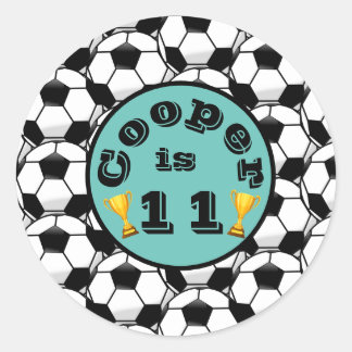 Blåfotvårdsfödelsedag Runt Klistermärke