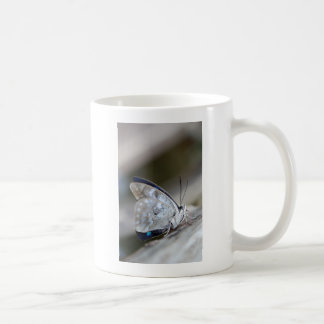 Blågrå fjäril kaffemugg