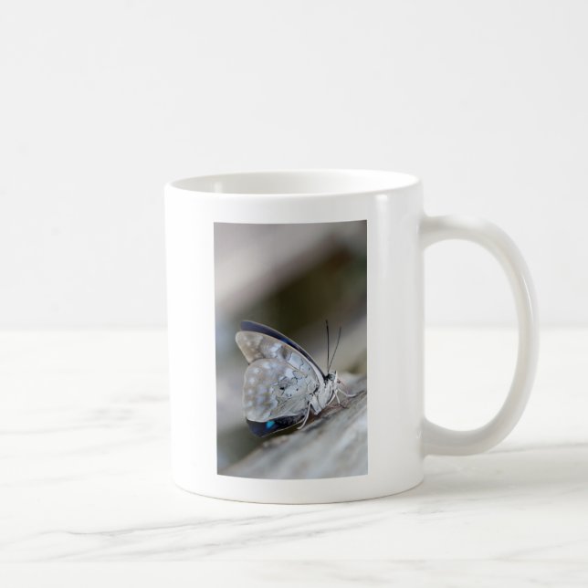 Blågrå fjäril kaffemugg (Höger)