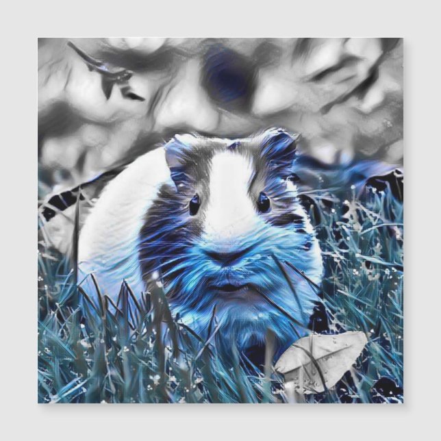 blåguinea gris (Framsida)