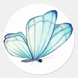 Blågummiförseglingar för fjäril runt klistermärke