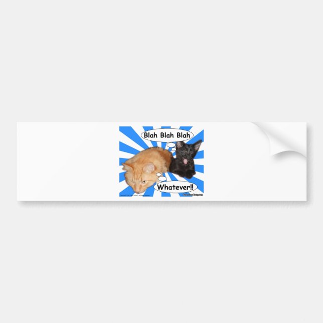 Blah Hippy kattunge - blah spelar ingen roll!! Bildekal (Framsidan)