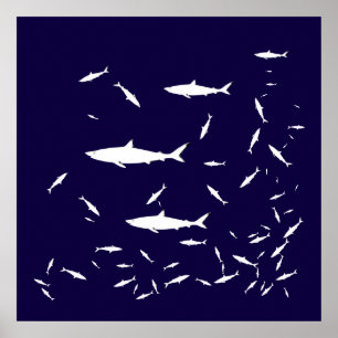 Blåhaj Poster