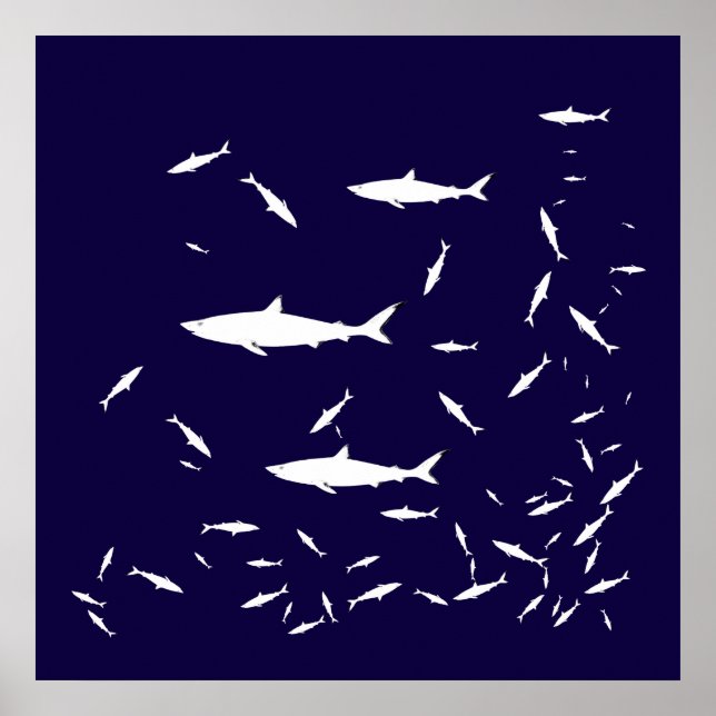 Blåhaj Poster (Framsidan)