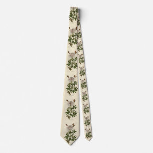 Blåhalsfågel, Audubon Birds of America Slips