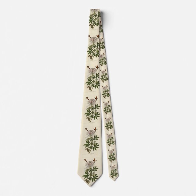 Blåhalsfågel, Audubon Birds of America Slips (Framsida)