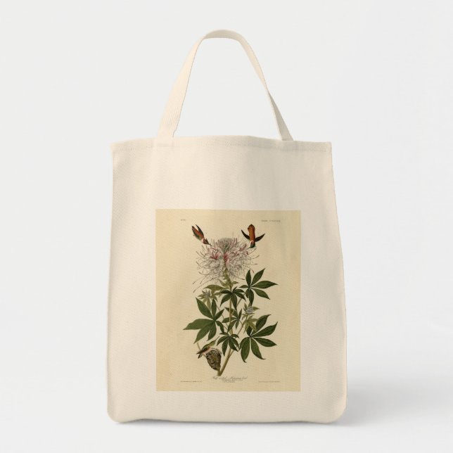 Blåhalsfågel, Audubon Birds of America Tygkasse (Framsidan)
