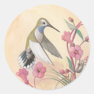Blåhaltig Hummingbird Runt Klistermärke