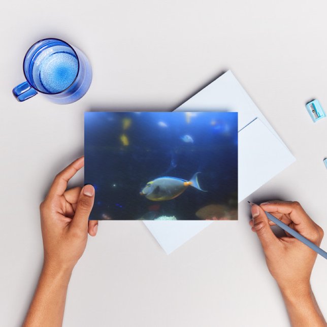 Blåhaltig tropiska fiskar av gult vykort (Skapare uppladdad)