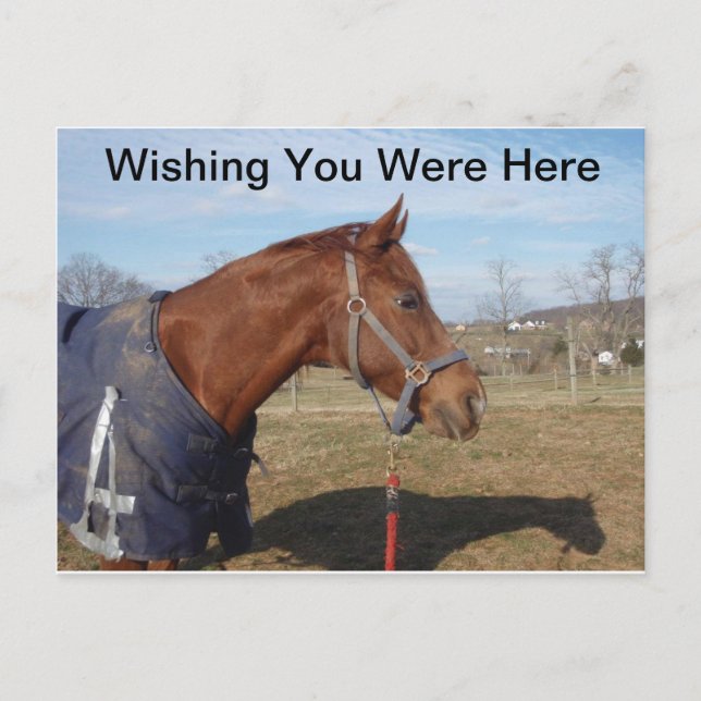 Blåhavsfiske - Önskar att du var här och fick vyko Vykort (Framsida)