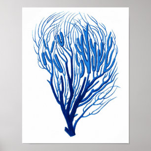 Blåhavskorall Skriv ut nr 7, Beach Wall Decor Poster
