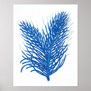 "Blåhavskorall Skriv ut nr 8 Hemmadekanter poster