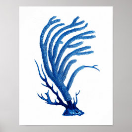 Blåhavskorall, utskrift #2 Kustmurens konsthandlin Poster