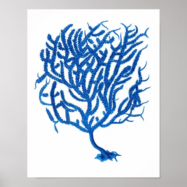 Blåhavskorallens utskrift #10 Hemdekorteckning Poster (Framsidan)