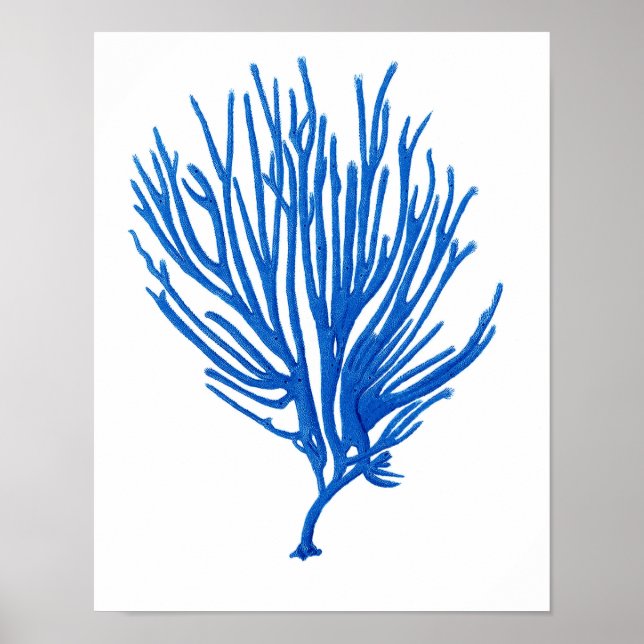 Blåhavskorallens utskrift #12 Kustväggskonst Skriv Poster (Framsidan)