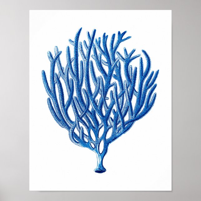 Blåhavskornskonst Skriv ut #1 Beach House Wall Art Poster (Framsidan)