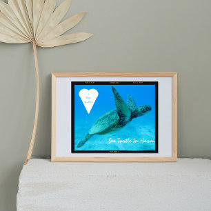 Blåhavssköldpaddor i hjärtsköldpaddor Hawaii Poster